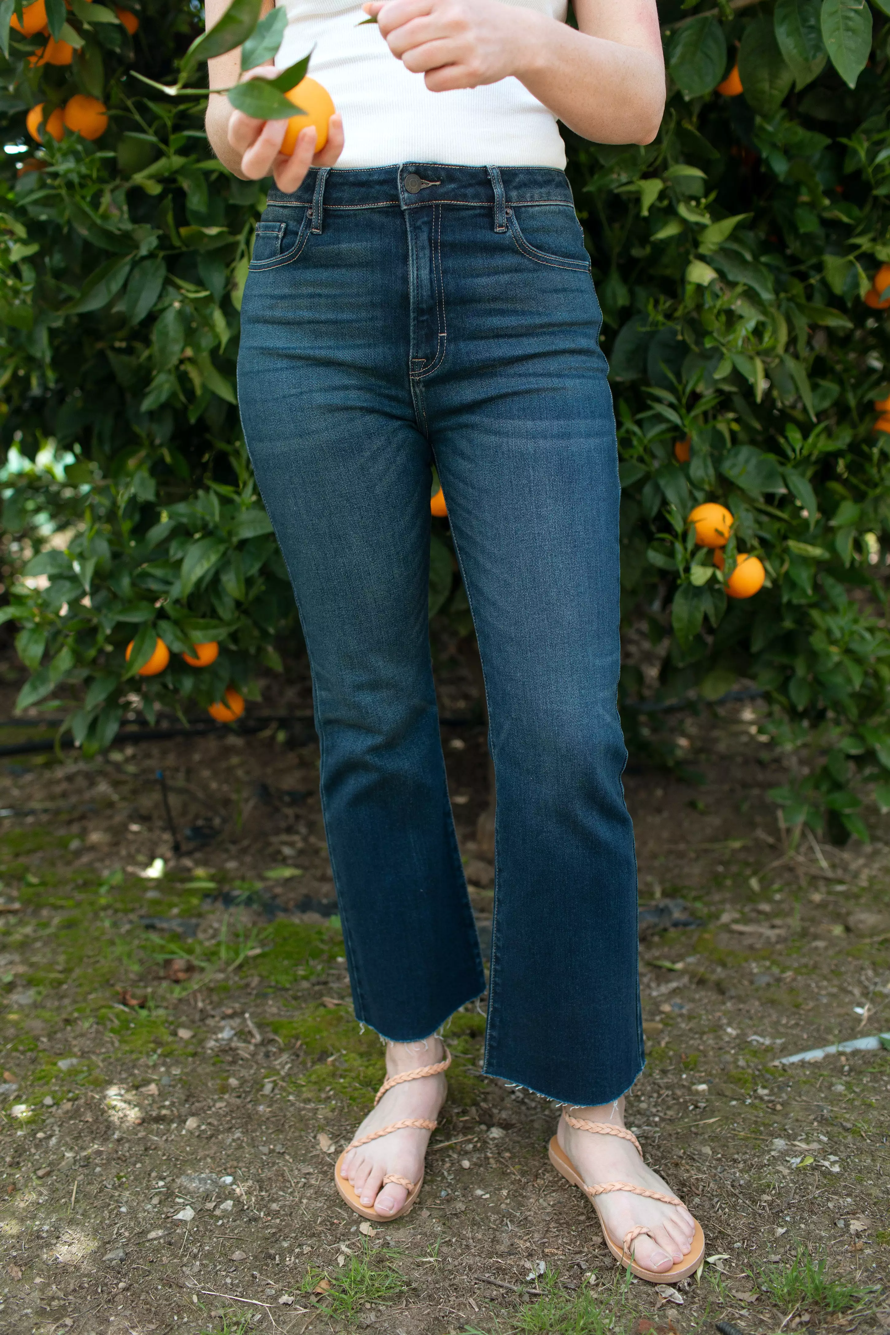 Kate Crop Boot Cut Jeans