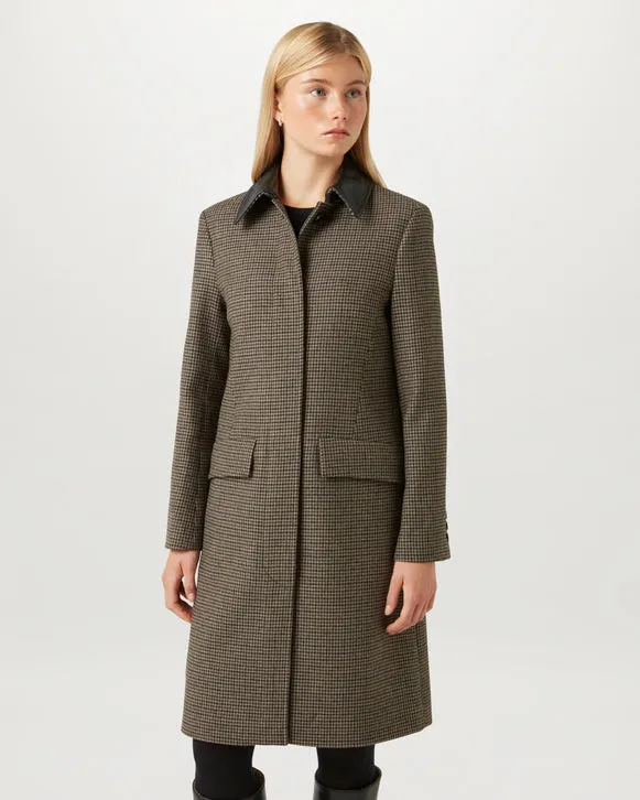 stannic coat